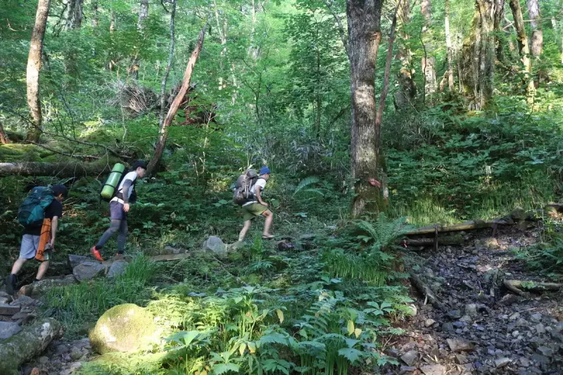 風がなく暑い環境で雨に当たる