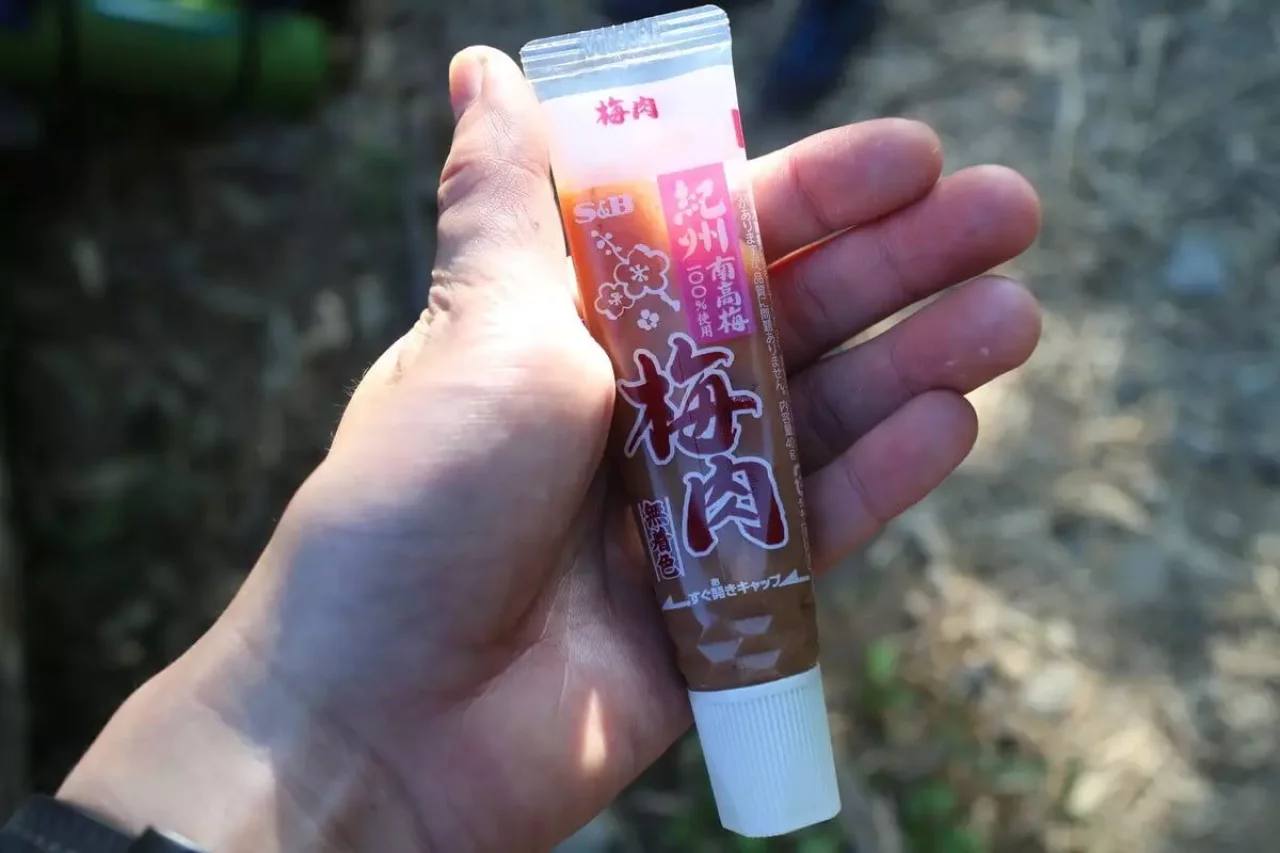 日射病対策の梅肉