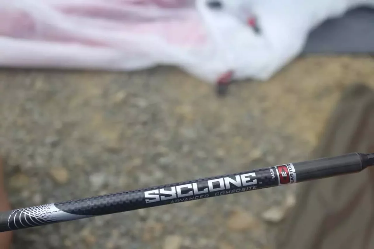 MSRアクセス2のポール