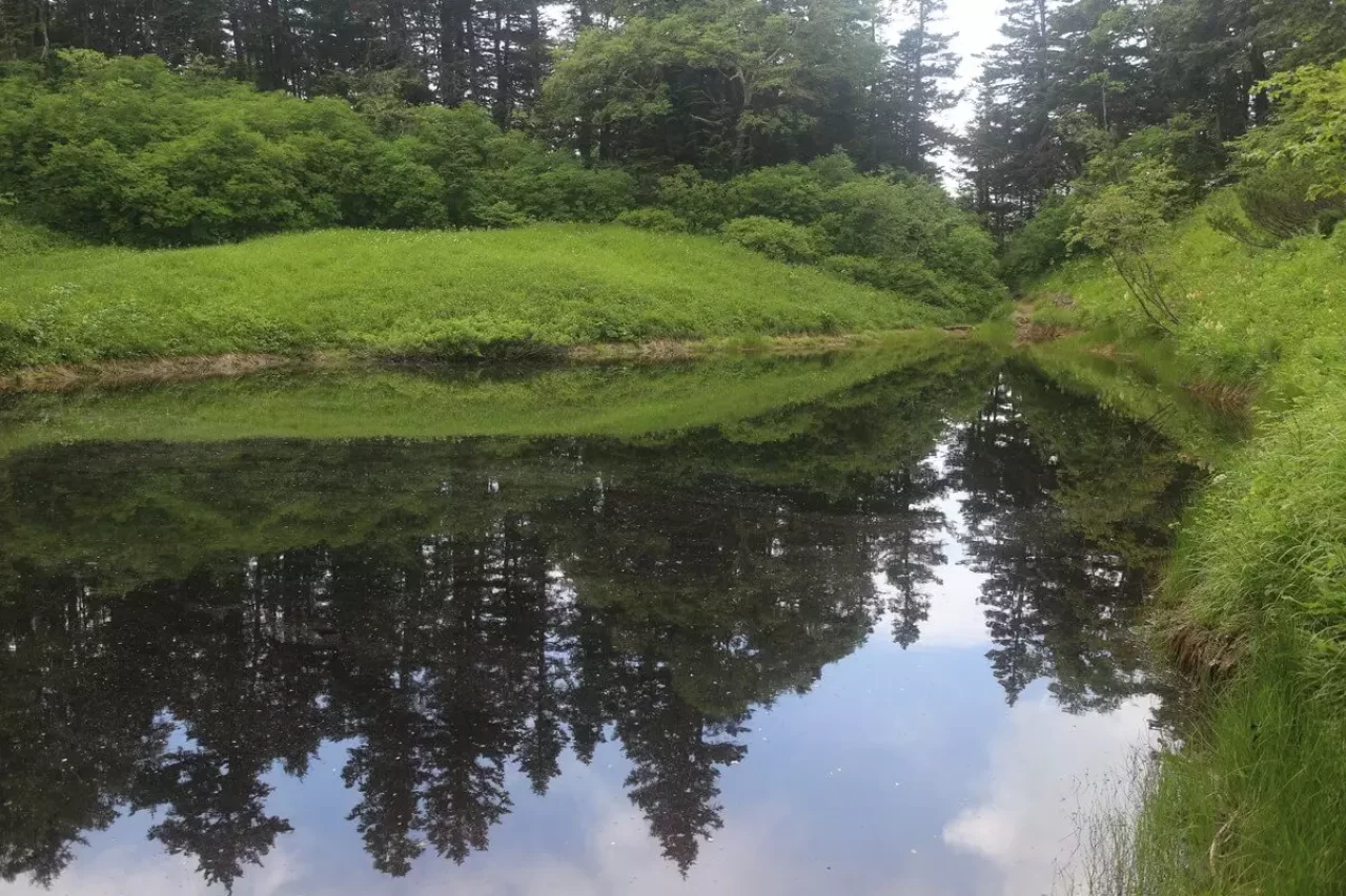蝶ヶ岳の池