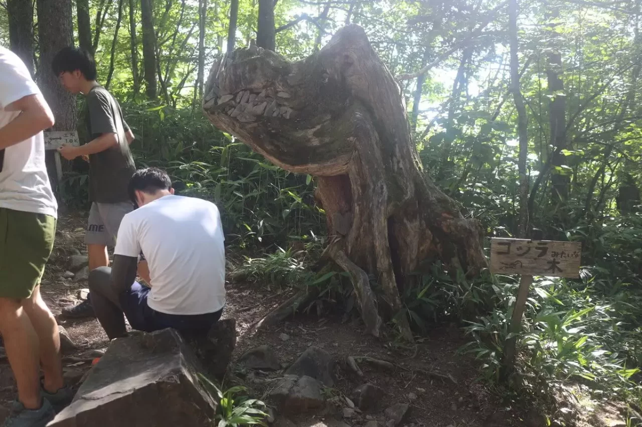 蝶ヶ岳のゴジラ