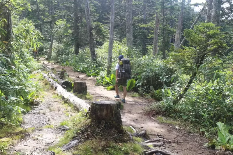 折立の登山口は最初樹林帯