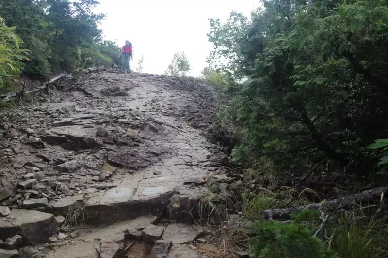 折立の登山口は最初樹林帯