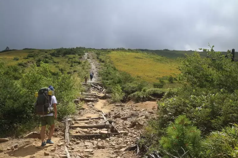 登山道を太郎平小屋に向かって