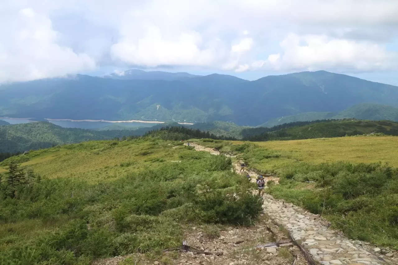 登山道を太郎平小屋に向かって