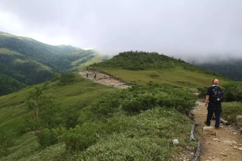 登山道を太郎平小屋に向かって