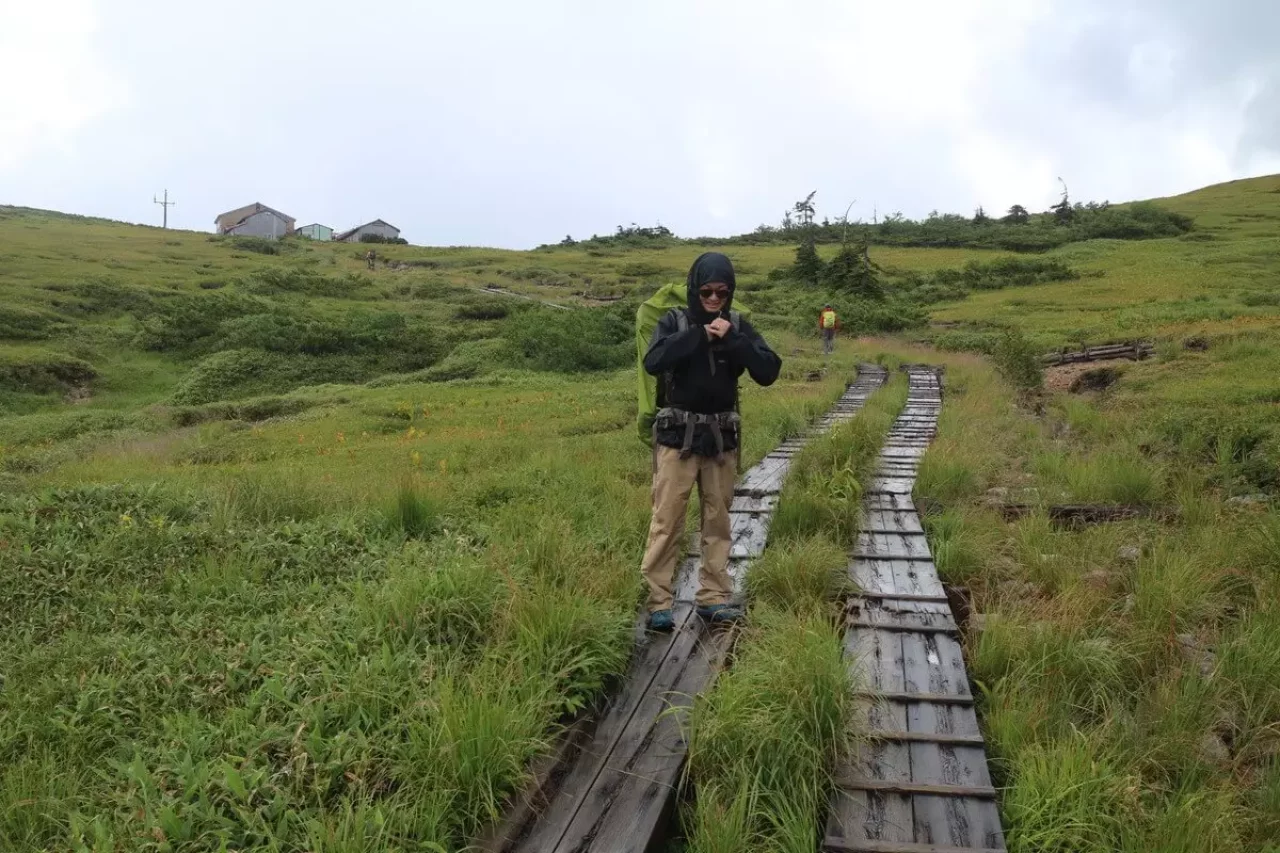 登山道を太郎平小屋に向かって