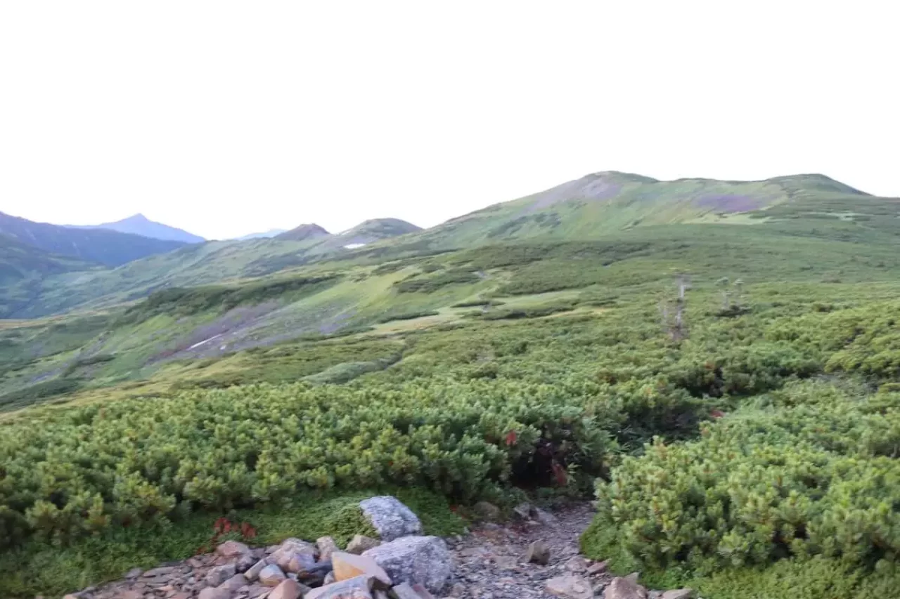黒部五郎岳までの山容