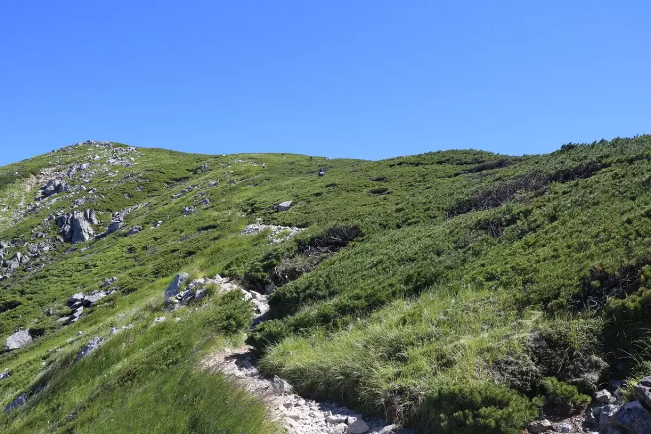 三俣蓮華岳を後にして、丸山を経由し双六岳へ向かう