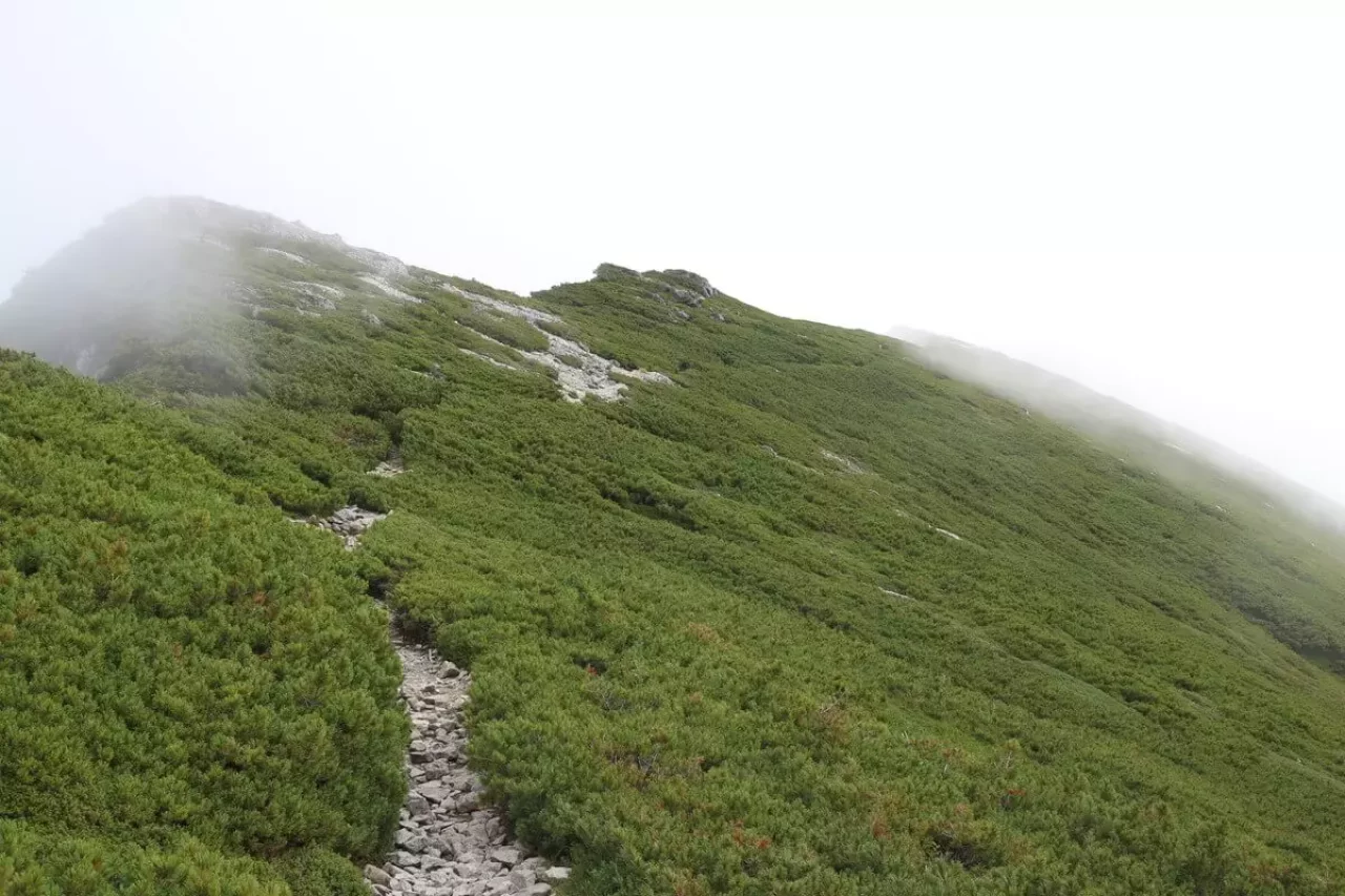 笠ヶ岳への登山道