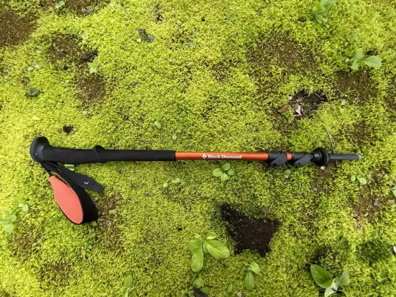 トレイルシリーズのスタンダードモデル『トレイル』