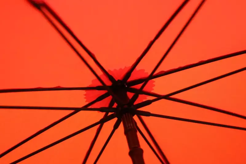 登山 傘 耐久性