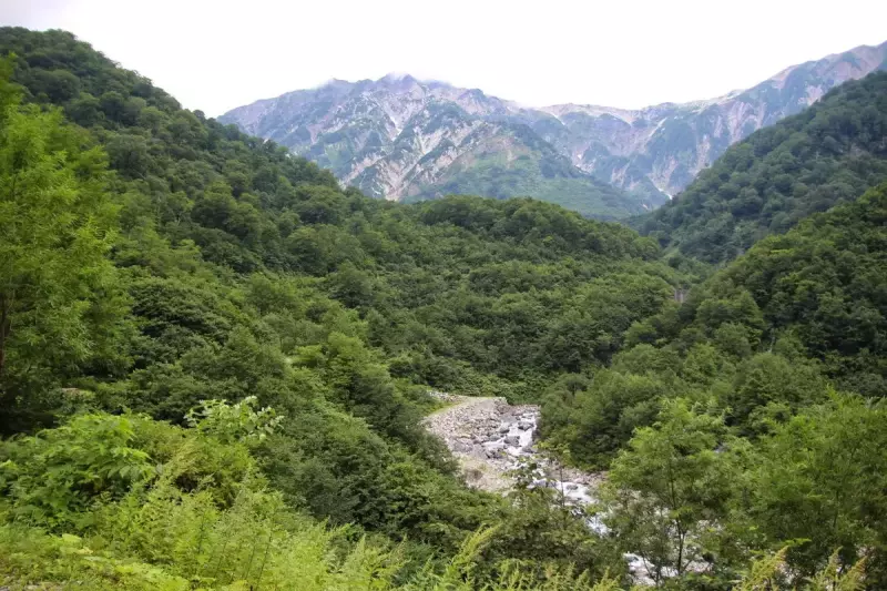 大雪渓から白馬岳 登山ルート1