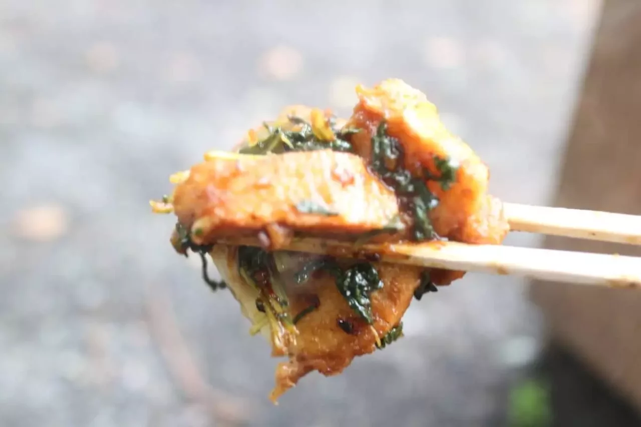 山ごはん「仙台麩」