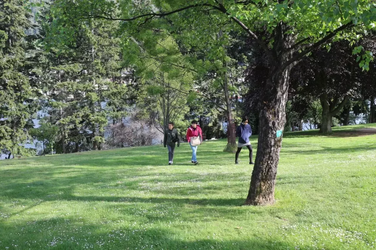 Queenstown Gardens Disc Golf