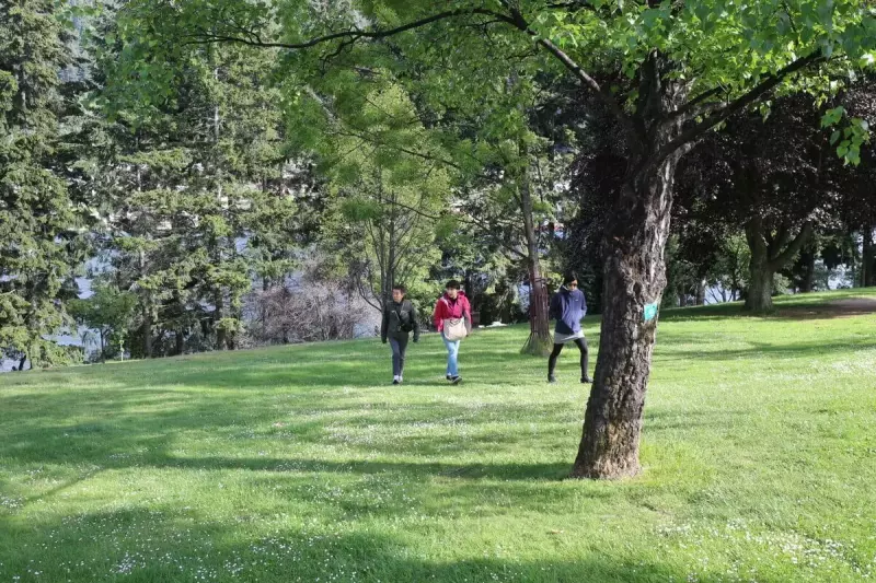 Queenstown Gardens Disc Golf