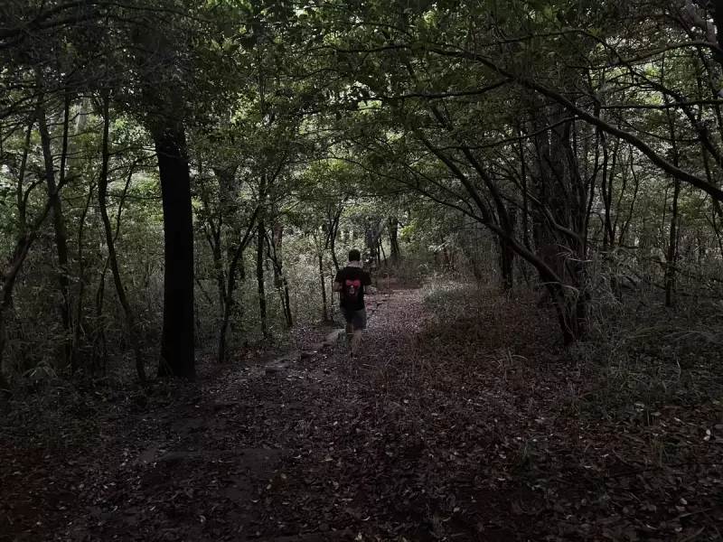 魅力2:標高が高く、樹木の日陰で涼しく走れる