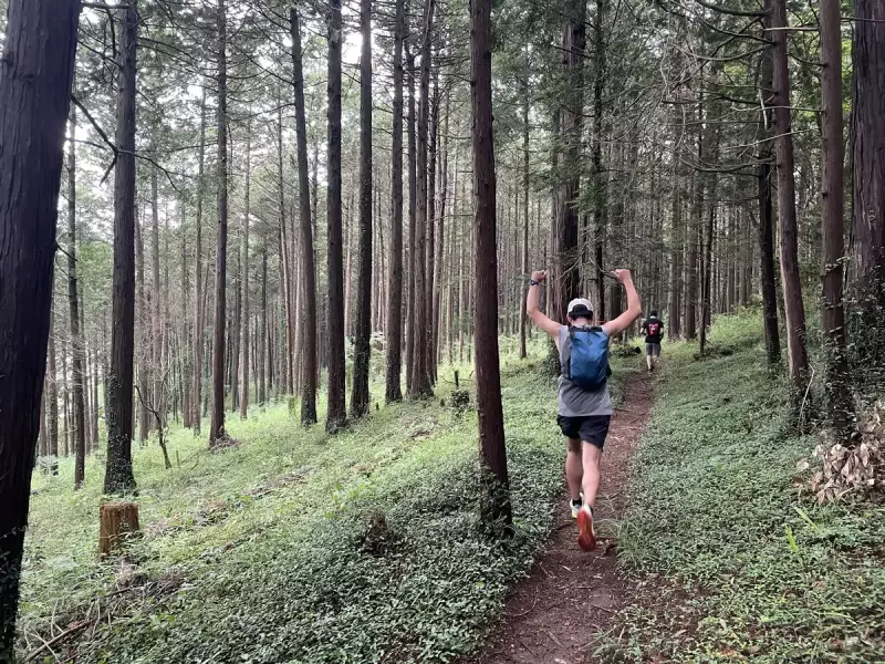 山の中を早く移動するスピードハイク