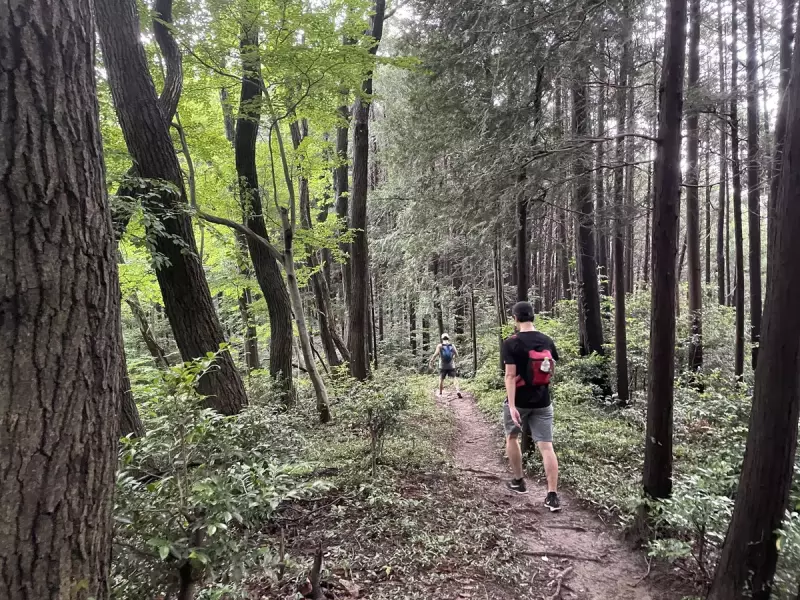 魅力1:土の上を走ることで体への負担が少ない