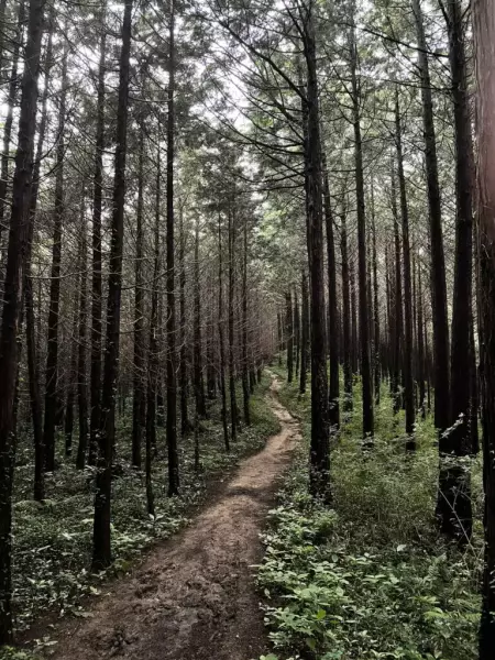 魅力3:様々な景色に魅了される