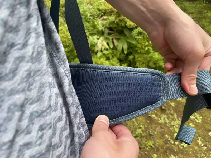 背負い心地の良さと背中の通気性 パタゴニア『アルトヴィア・パック36L』