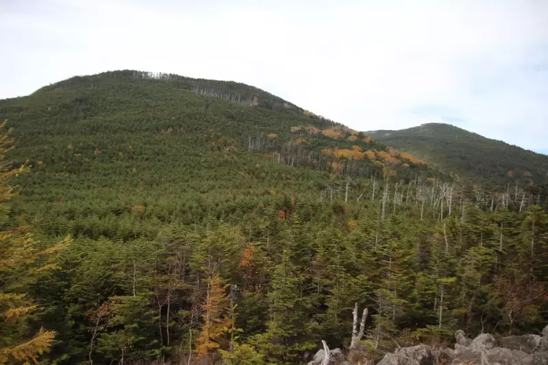 八ヶ岳登山  北八ヶ岳