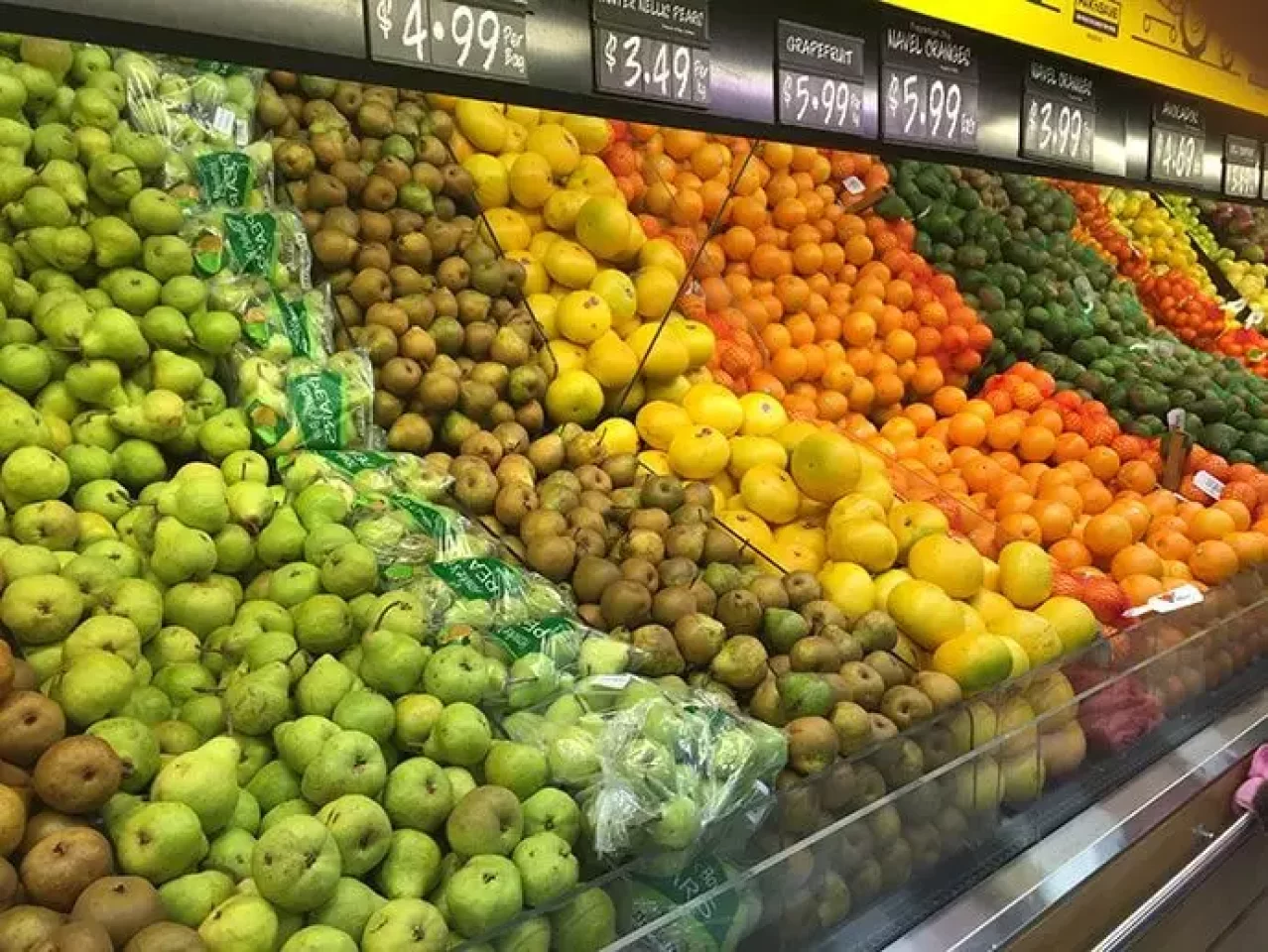 ニュージーランドの果物