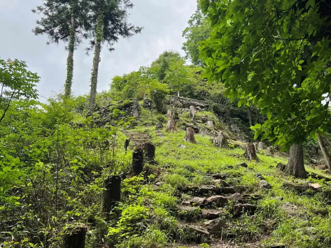 石段、山頂の展望台、下から