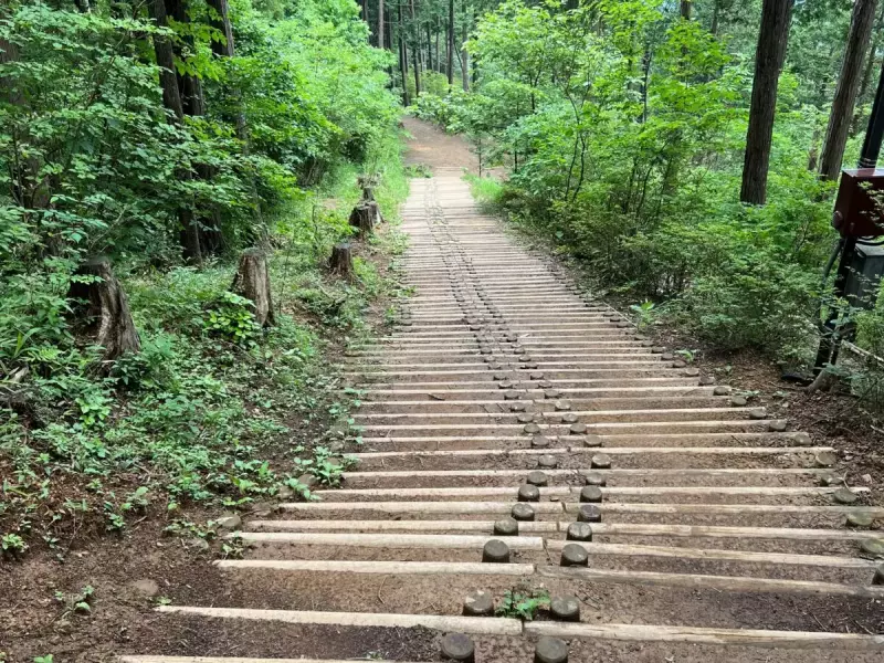 登山道、歩きやすそうな階段