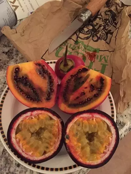 ニュージーランドの果物