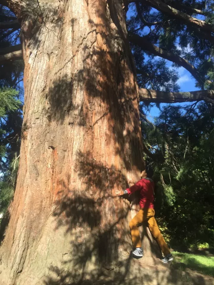 Queenstown Gardens Disc Golf