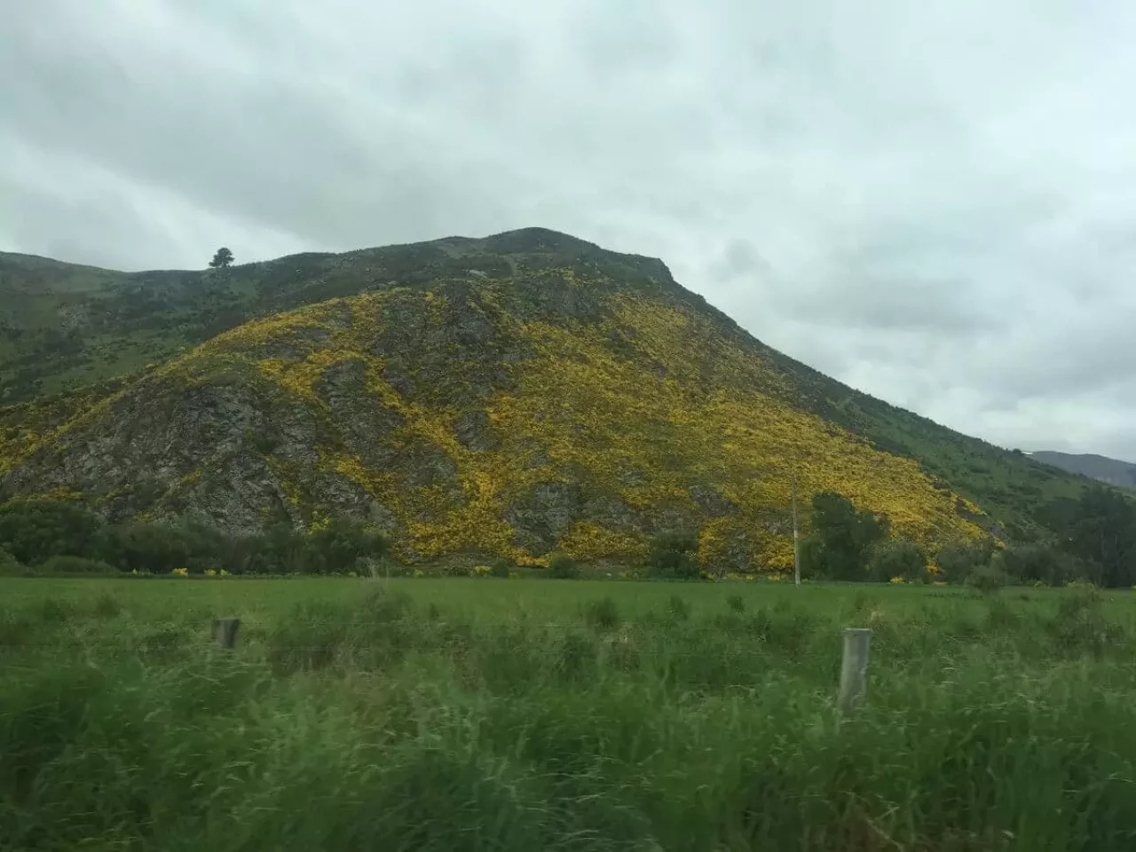 美しきクイーンズタウン