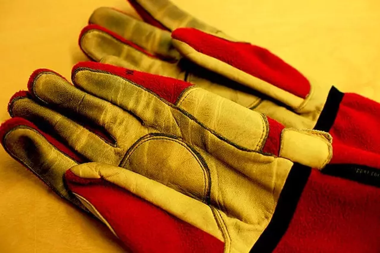 ヘストラ グローブ