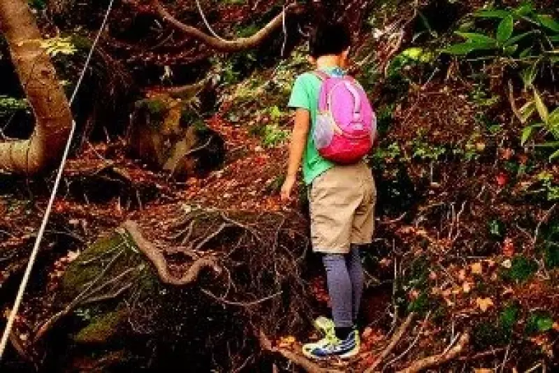 草津白根山の登山