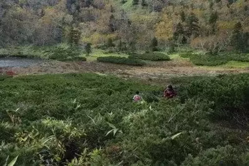 草津白根山の登山