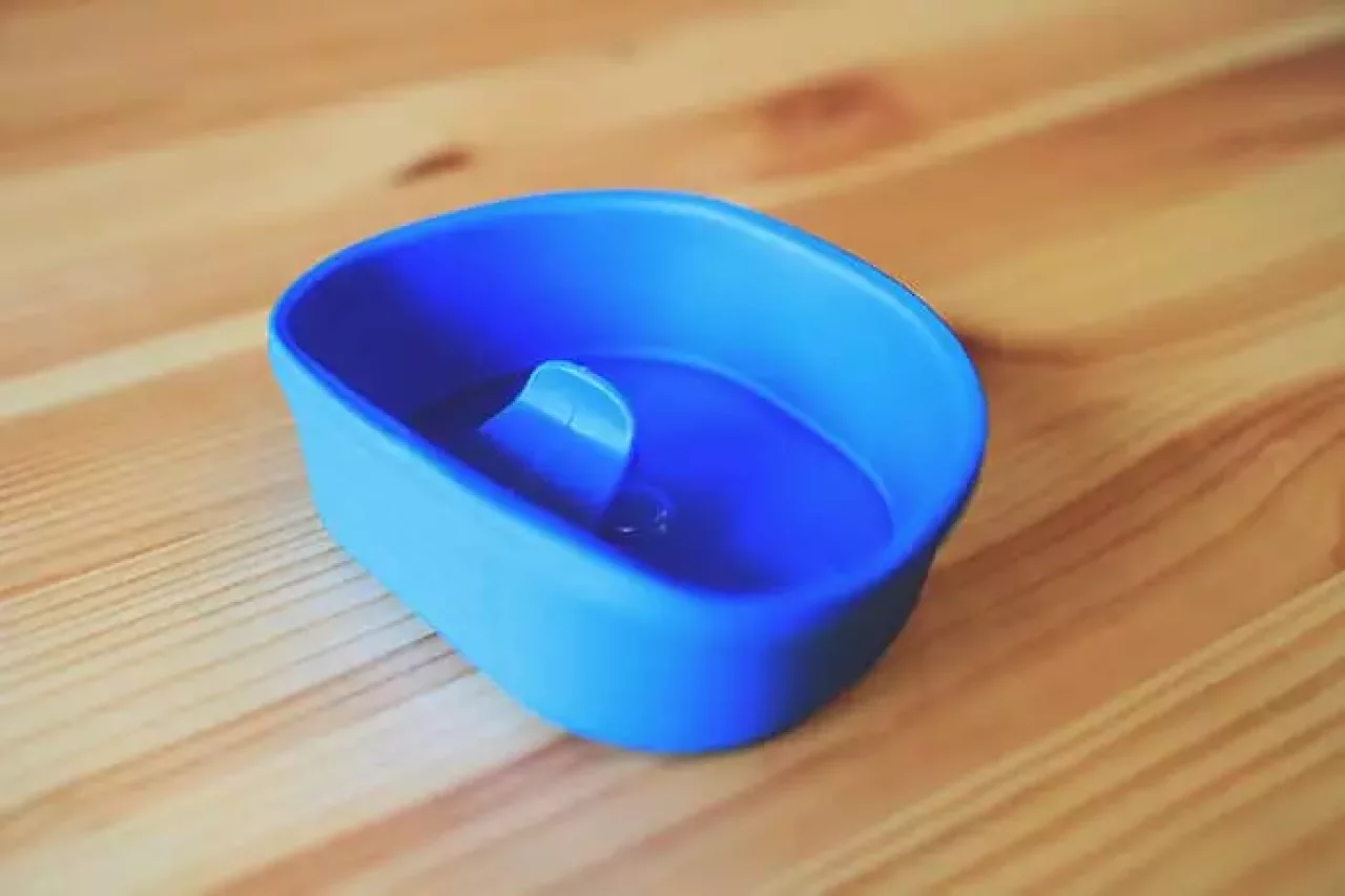 ウィルド フォールド ア カップ ビッグ