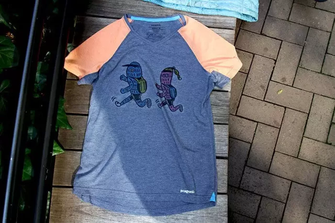 パタゴニアのナイントレイルズTシャツ