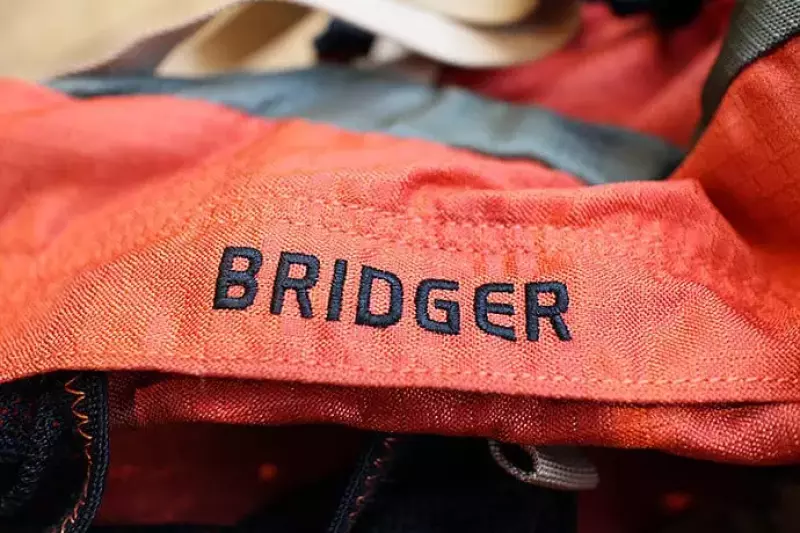 デイナデザインのバックパック