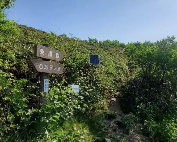 東黒森西側登山口
