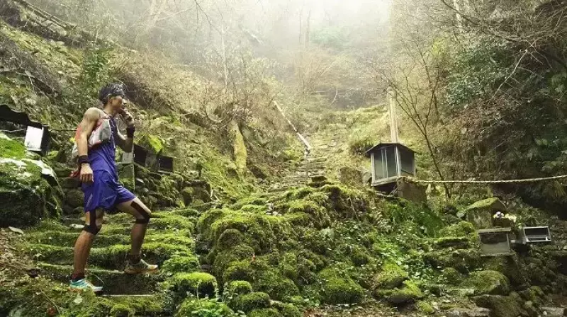 比叡山の山域の雰囲気にもこのカラーが似合います笑