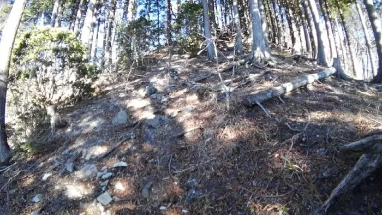 アウトドアスマホ『TORQUE G03 』で撮影