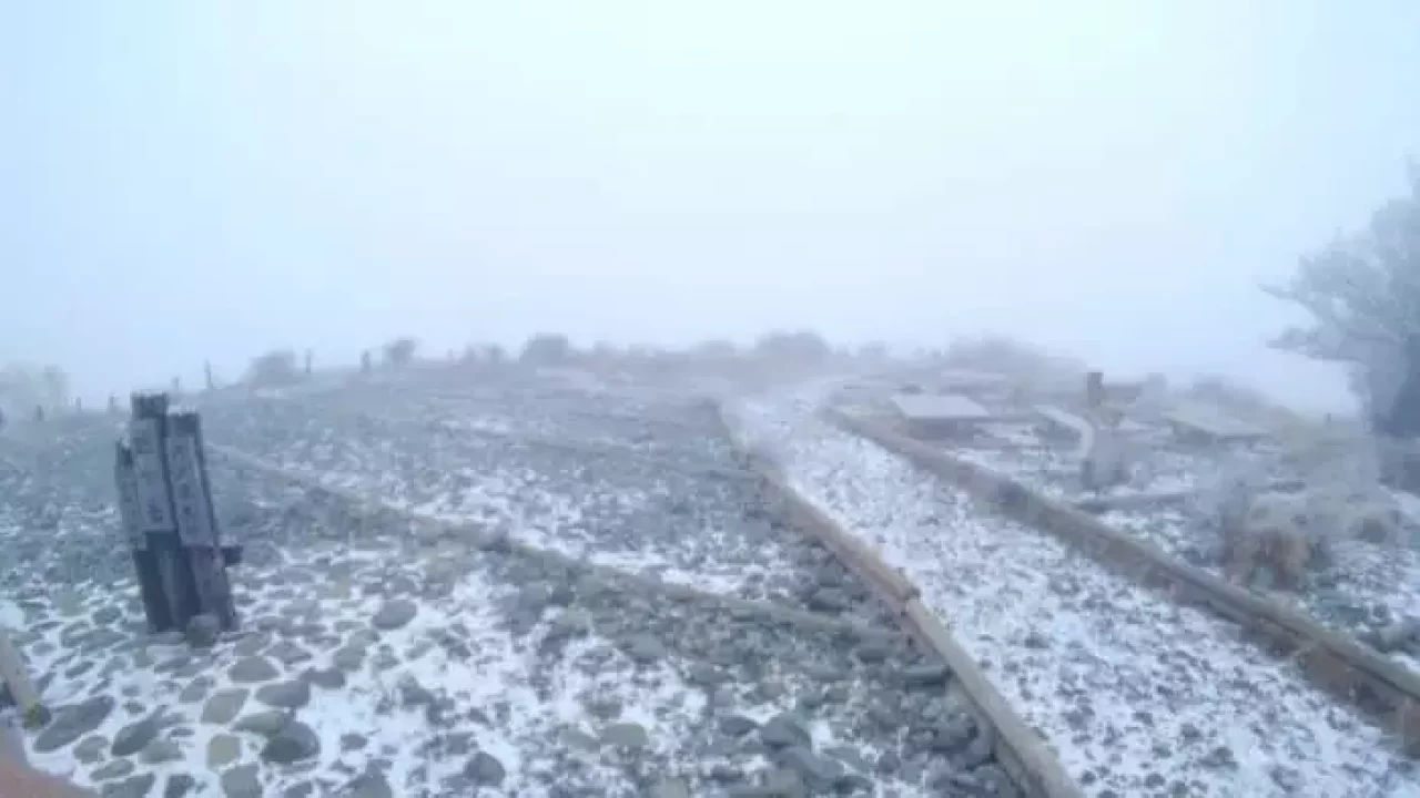 山頂付近は白い世界