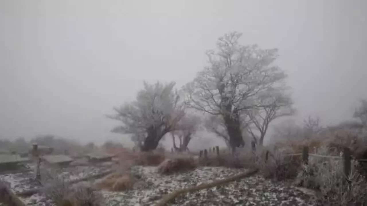 山頂付近は白い世界