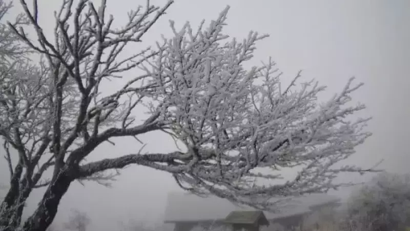 山頂付近は白い世界