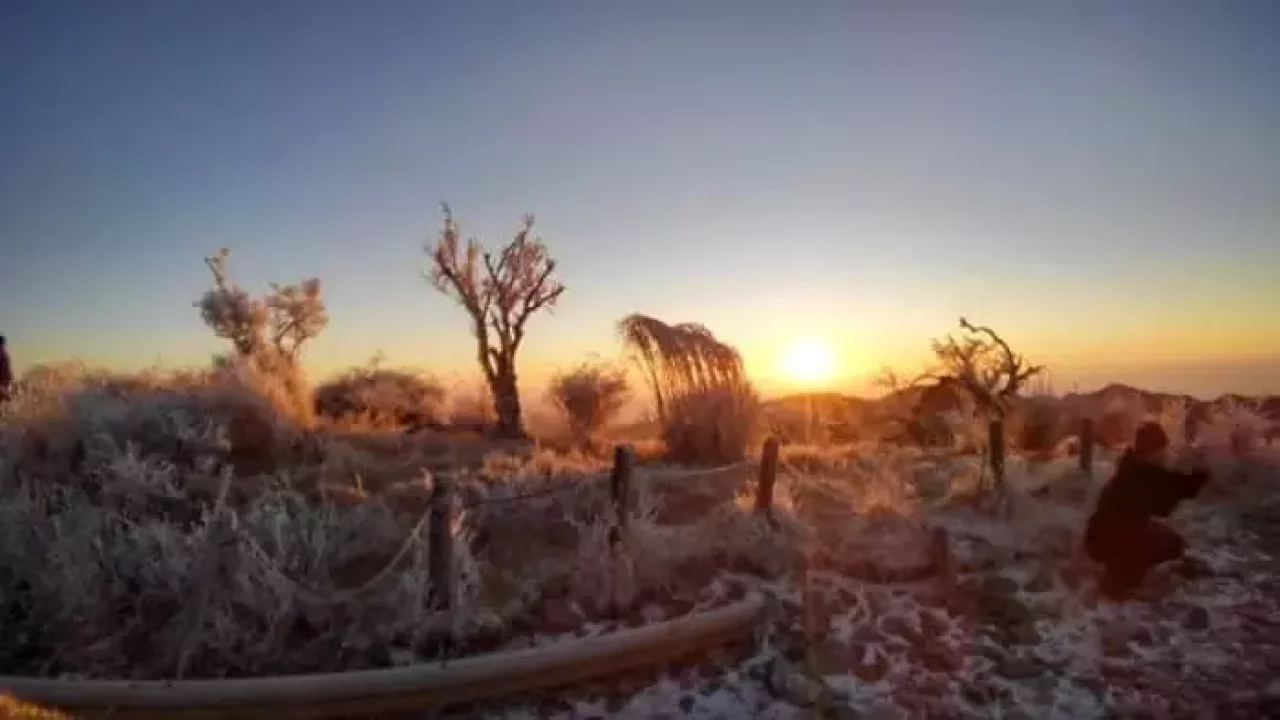 朝陽に煌めく霧氷