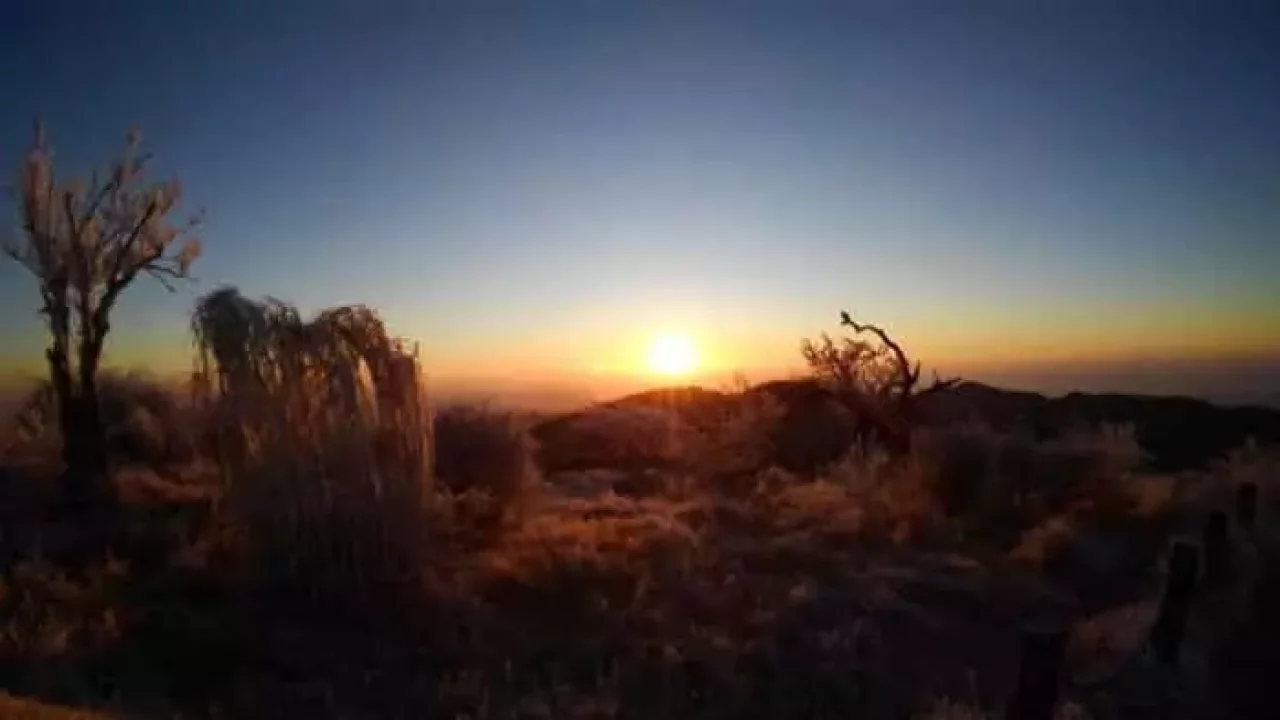 朝陽に煌めく霧氷