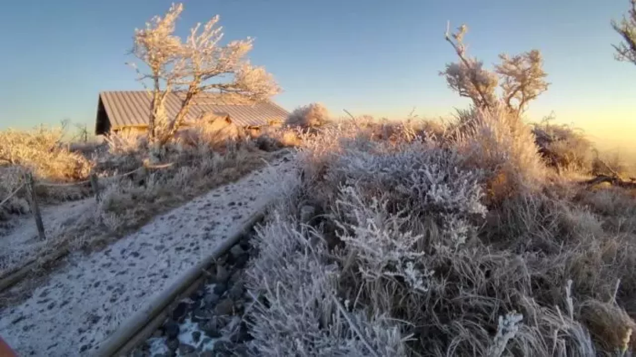 朝陽に煌めく霧氷