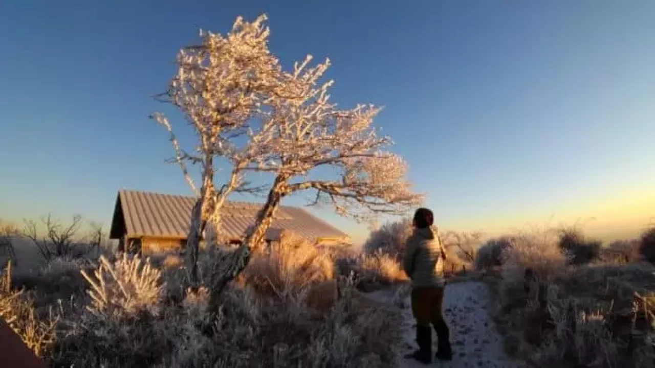 朝陽に煌めく霧氷