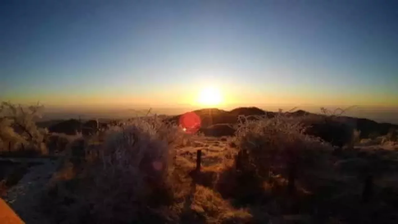 朝陽に煌めく霧氷