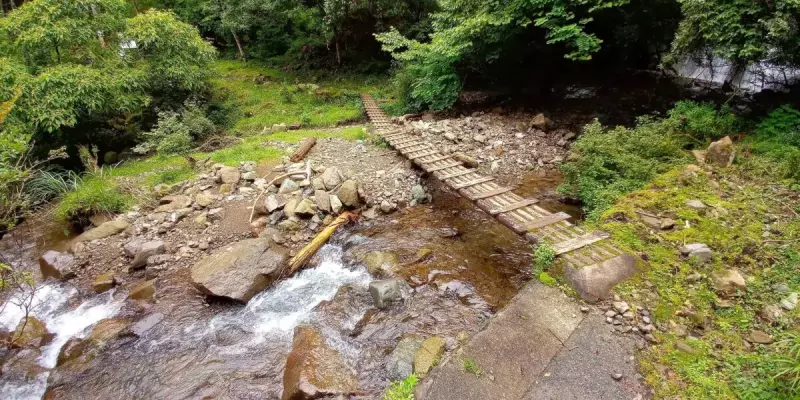 大山 登山 おすすめ 蓑毛コース